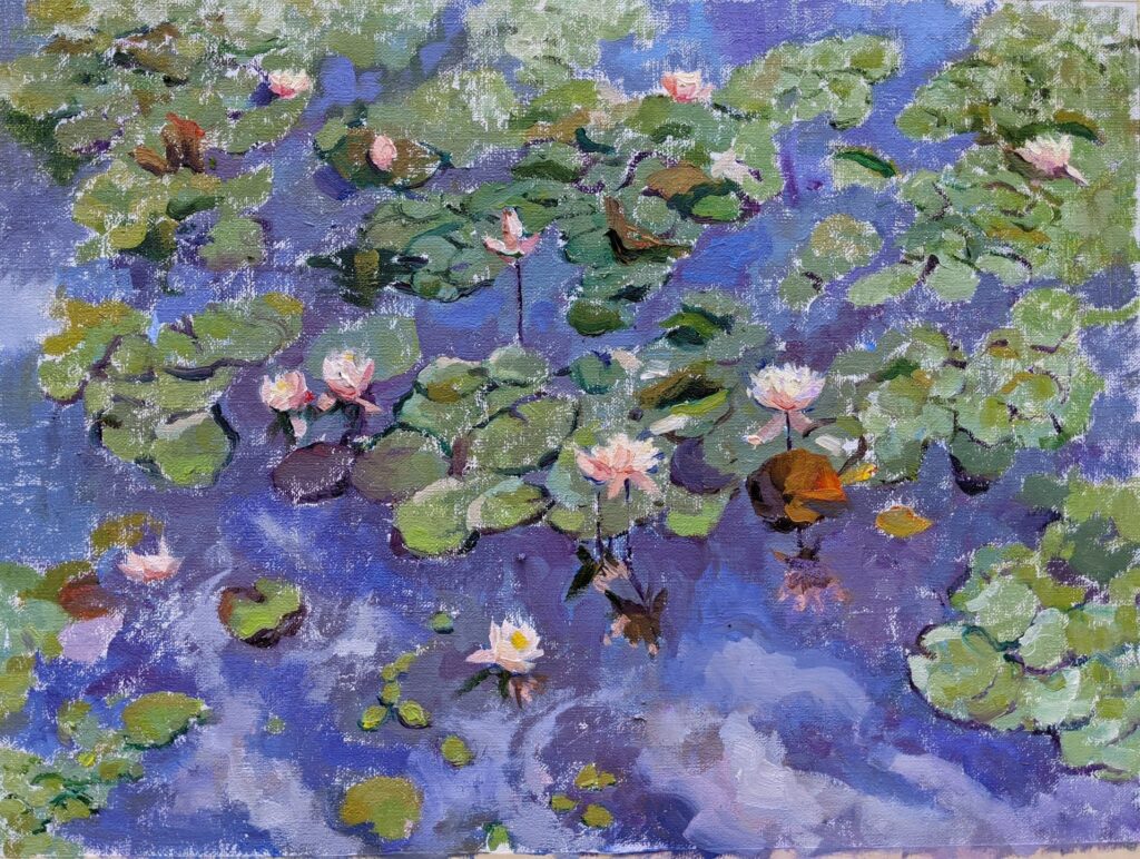 Sketch for Mayhurst waterlilies